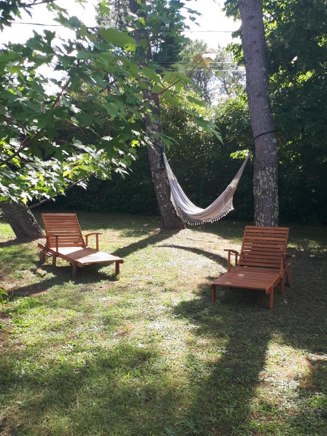 Gite Ma Vie La 3 Etoiles, Jacuzzi, Animaux Acceptes Saint-Julien-de-Cassagnas المظهر الخارجي الصورة