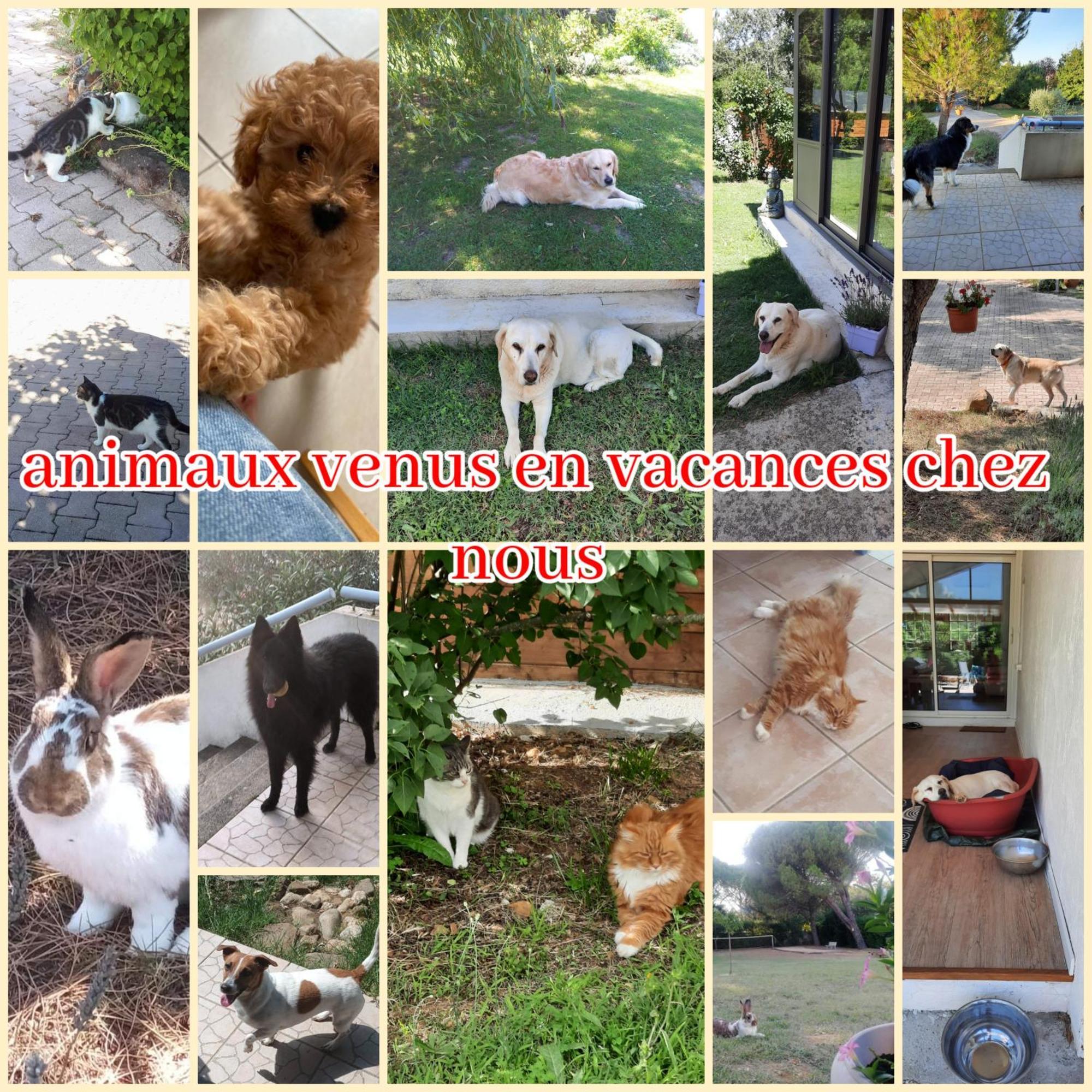 Gite Ma Vie La 3 Etoiles, Jacuzzi, Animaux Acceptes Saint-Julien-de-Cassagnas المظهر الخارجي الصورة
