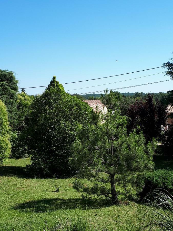 Gite Ma Vie La 3 Etoiles, Jacuzzi, Animaux Acceptes Saint-Julien-de-Cassagnas المظهر الخارجي الصورة